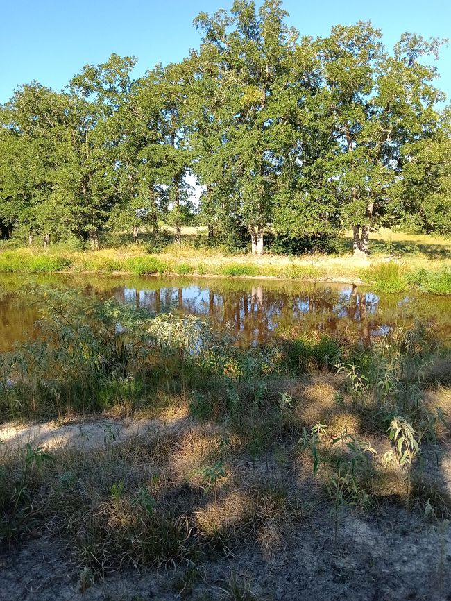 1211 Wilson Boyd Ln, Lexington, TX