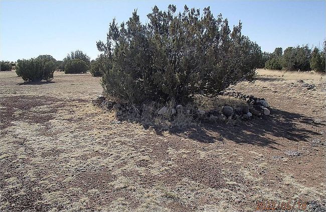 Photo of 109 County Road 3000, Concho, AZ