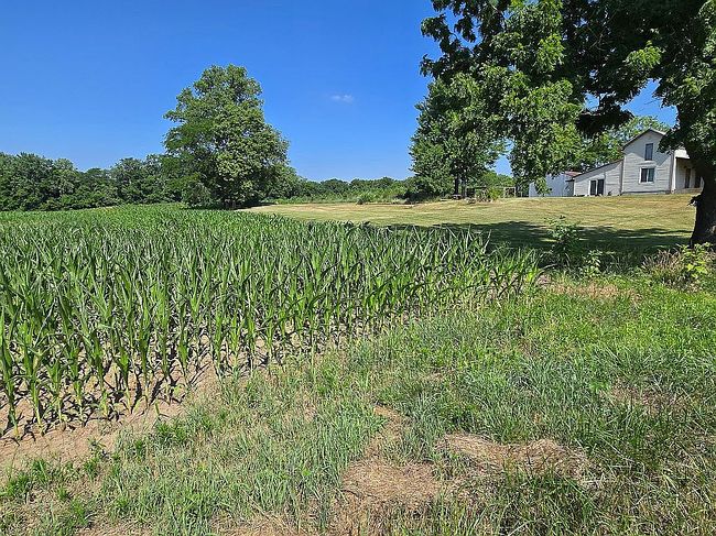 Photo of 5924 State Road 1, Saint Joe, IN