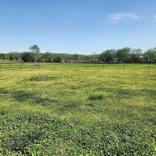 Image of 239 Skyline Dr