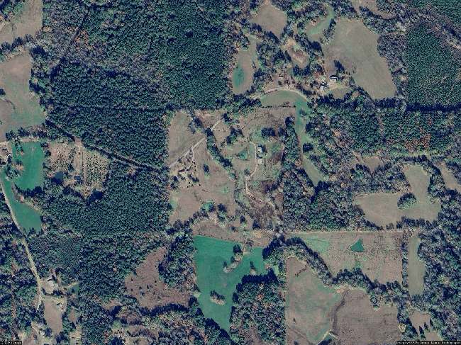 Photo of 4609 Scr #541, Forest, MS