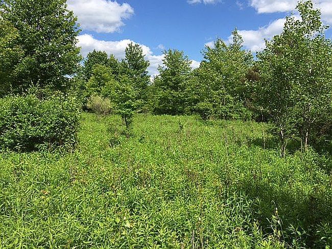 Image of 7151 County Road 15