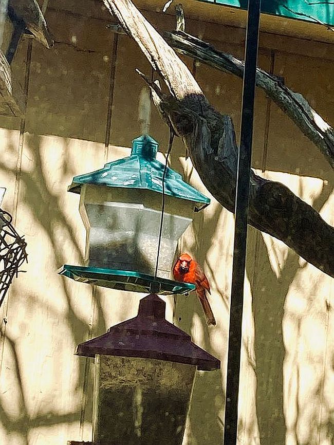 Additional photo 2 of property located at 298 Crosstown Hwy