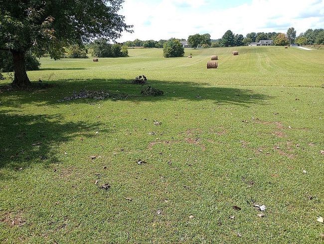 Image of 1160 Rockfield Browning Rd