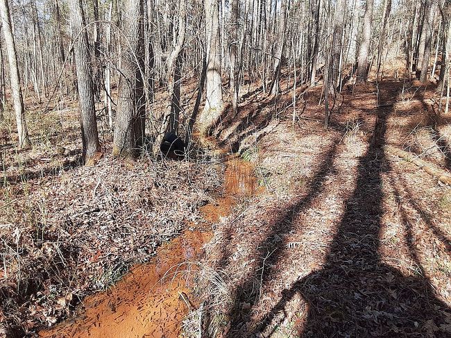 Additional photo of property located at 0 High Point Rd