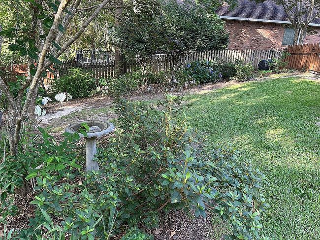 Photo of 51 Saint Andrews, Hattiesburg, MS