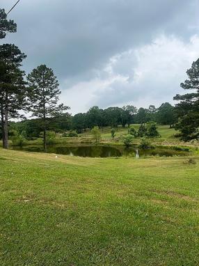 Additional photo 2 of property located at 8683 Highway 182 W