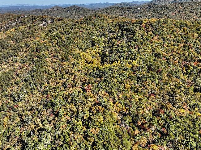 Photo of 0 Patterson Ln, Blue Ridge, GA