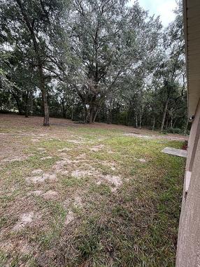 Image of 39832 N Hibiscus Way