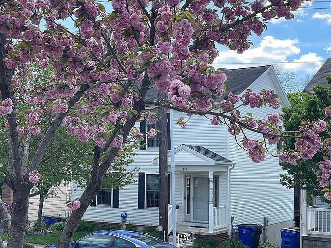 Image of 818 View St