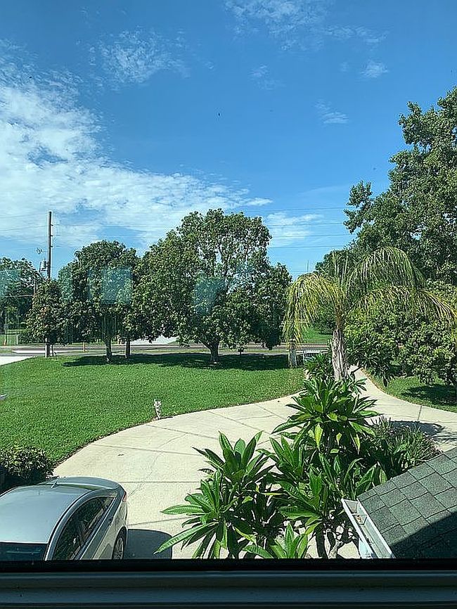 Image of 3480 Lakeshore Blvd