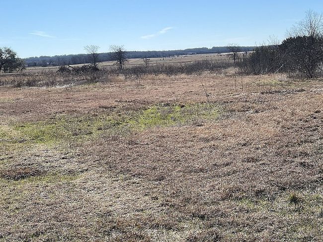 Image of 432 Hill County Rd #1221