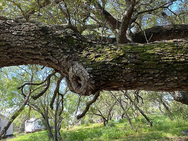 Photo of 1870 W Fm 140, Jourdanton, TX