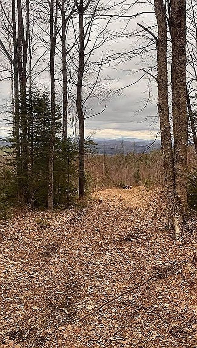 Photo of 1255 Coles Pond Rd, East Hardwick, VT