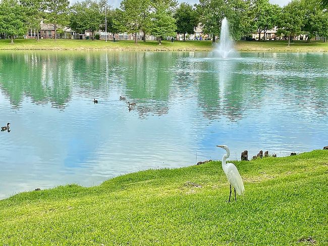 Photo of 10714 Barker Lake Ct, Cypress, TX