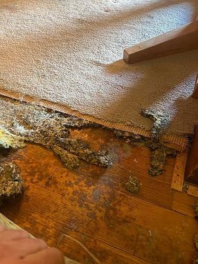 Additional photo 4 of property located at 111 Janet Ave