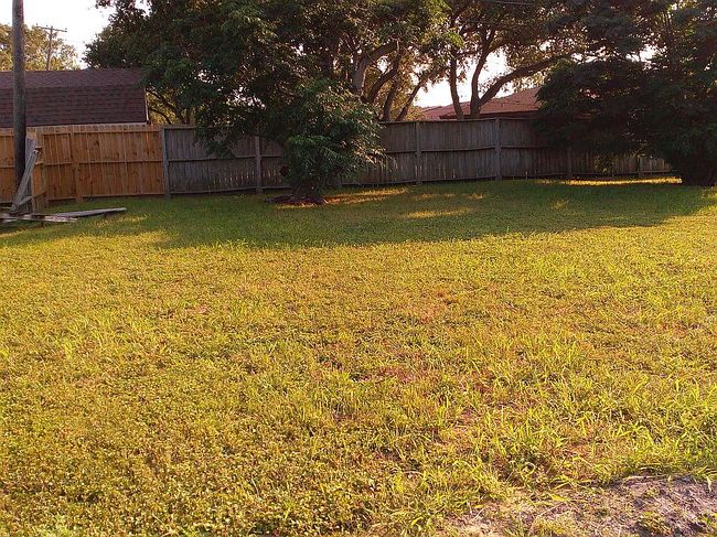 Image of 4906 Mildred Dr