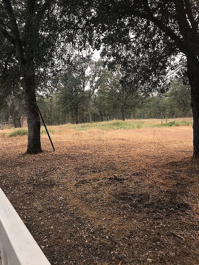 Image of 13100 Padani Dr
