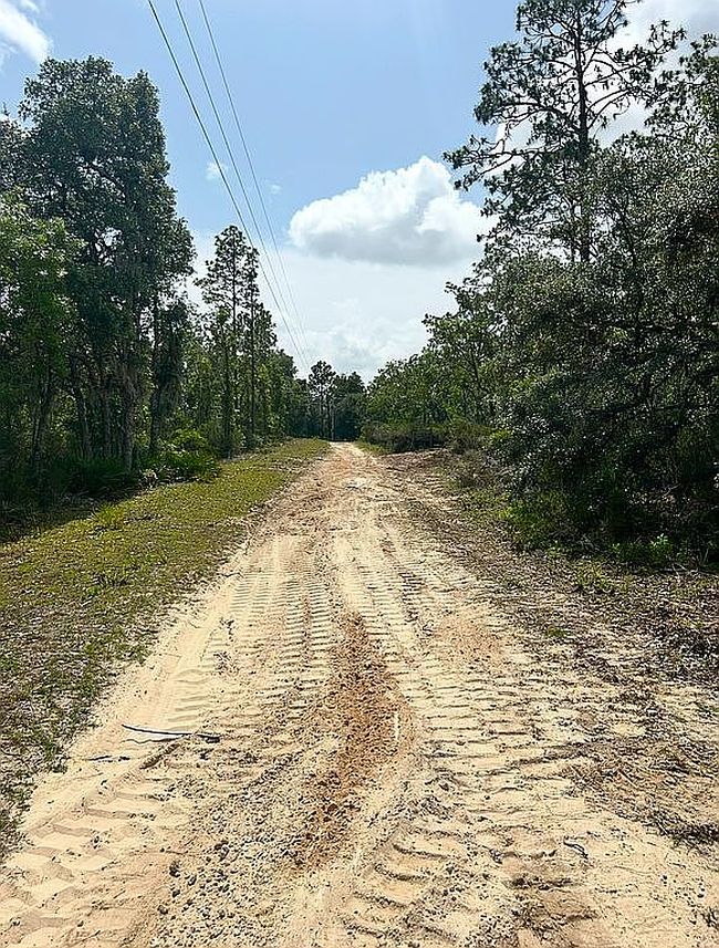 Photo of 0 Ne 92nd Pl, Bronson, FL