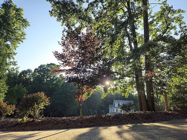Photo of 1329 Wynncrest Ct, Raleigh, NC