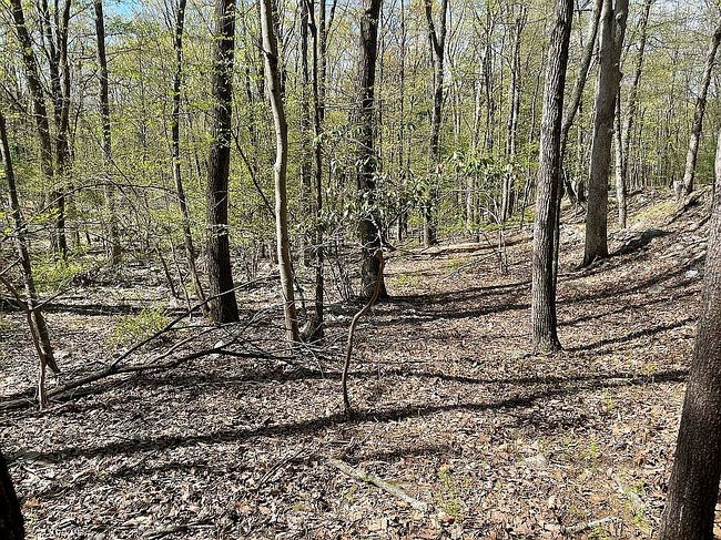 Image of 3248 Evergreen Dr