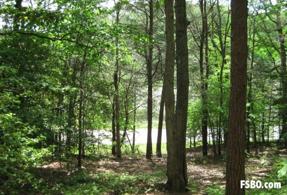 Image of 11234 Cove Lake Road (Lot 12)