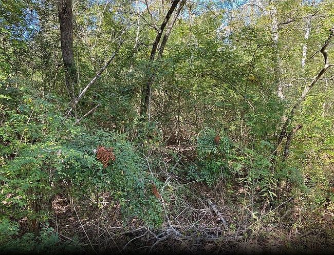 Image of Arborgrove Ln