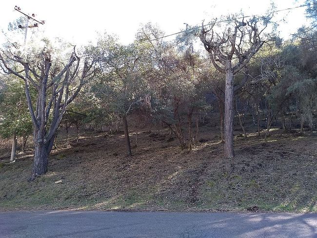 Image of 10493 Boren Bega Dr