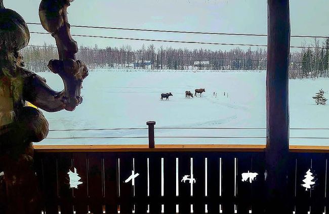 Photo of 691 N Blue Sky Cir, Wasilla, AK