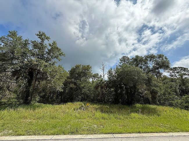 Photo of 1957 S Farm Rd, Deland, FL