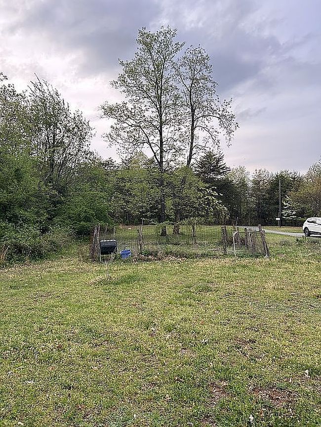 Image of 1499 Lanetown Rd