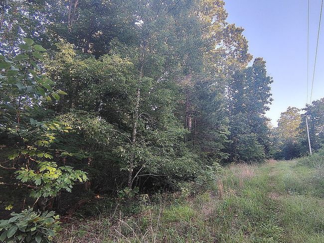 1389 Peaceful Ln #3, Yellville, AR