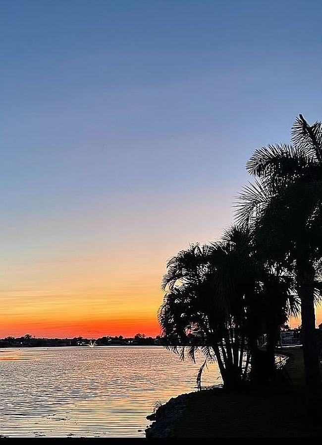 Photo of 800 Kay Rd Ne #1118, Bradenton, FL