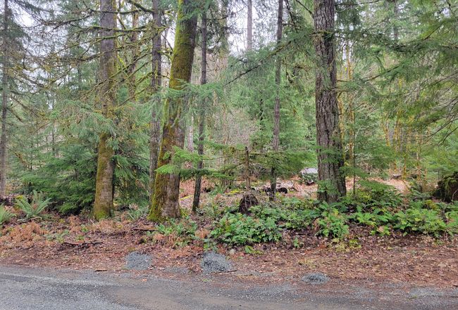 Image of 123 Red Cedar Lane