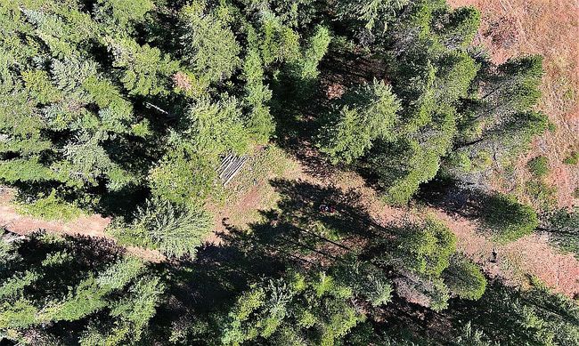 Photo of 127 Lions Rd, Priest River, ID