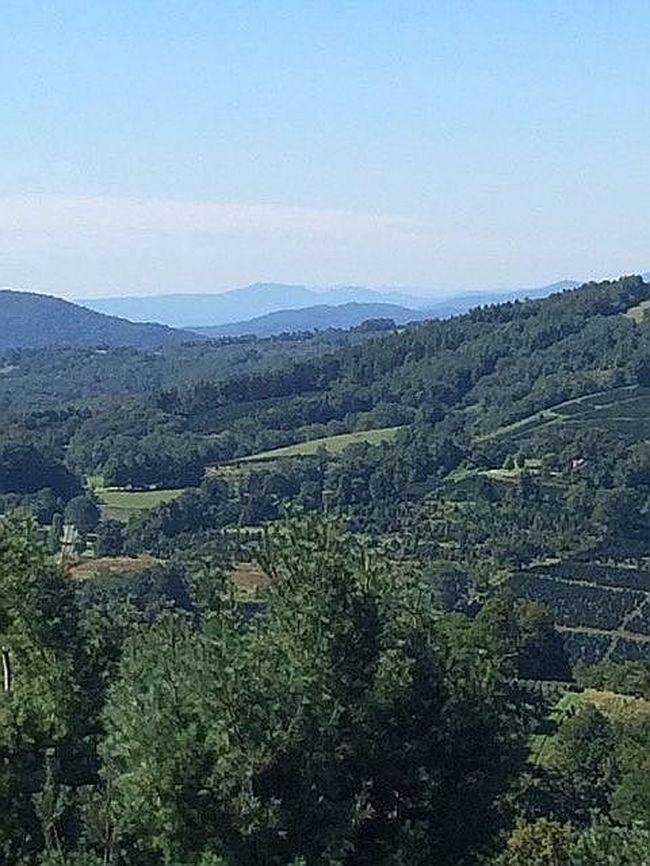 Photo of 11 Wildflower Ln, Newland, NC