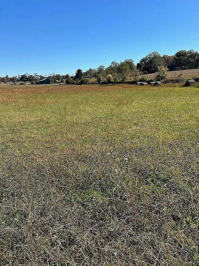 Image of Owens Chapel Rd