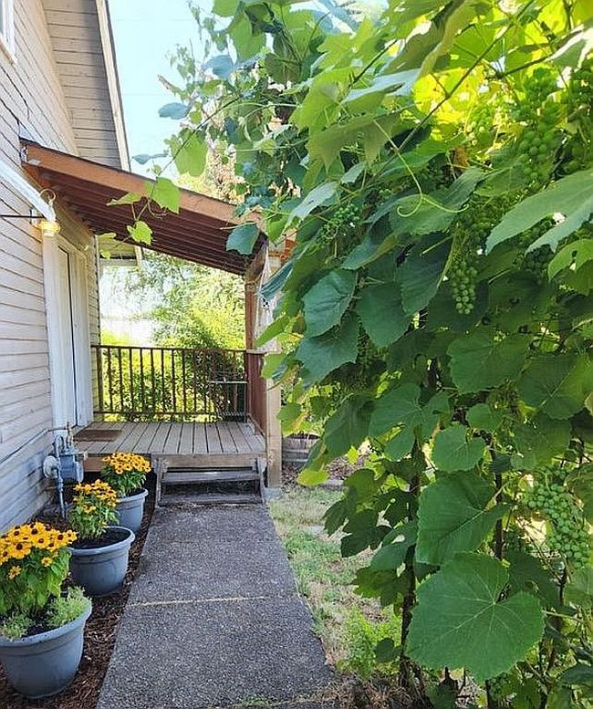 Photo of 803 Main St, Philomath, OR