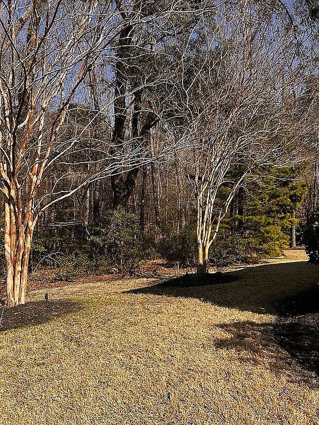 Image of 130 Phoebe Rd
