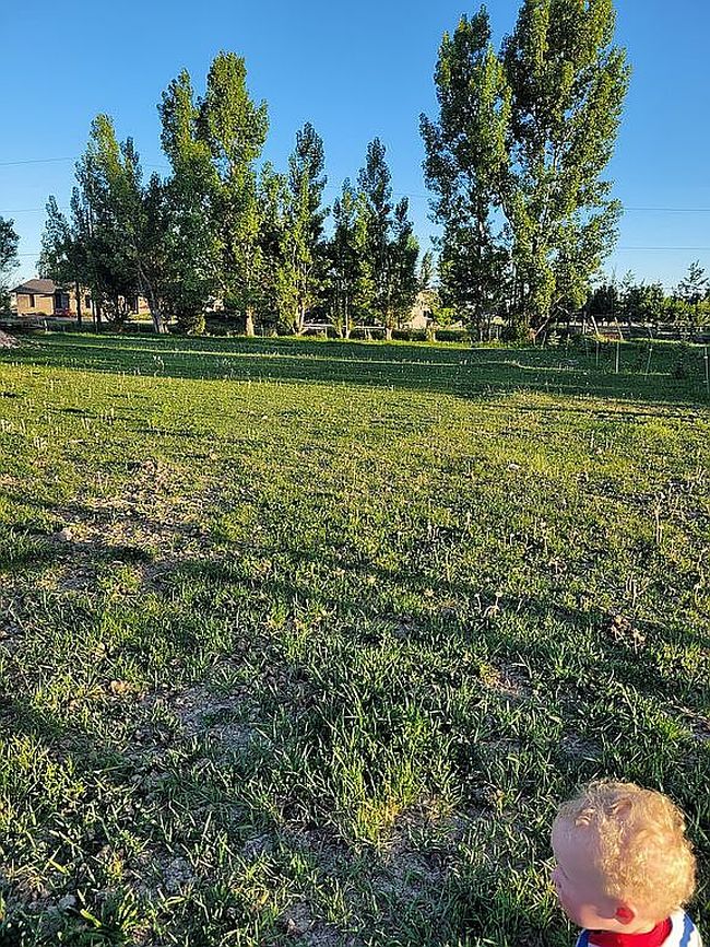 Image of 3733 E 38 N Lot 1