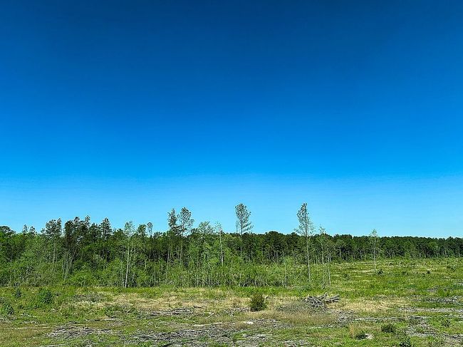 Image of 2710 County Road 4800