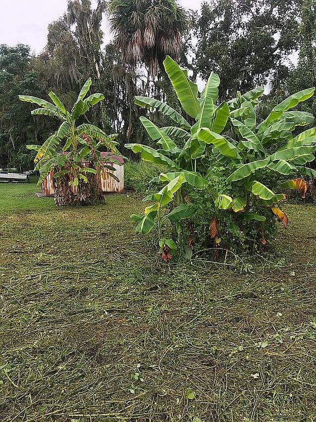 Photo of Canal St, Ruskin, FL