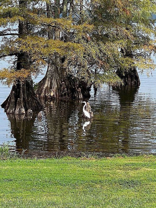 Photo of 612 Caddo Lease Rd, Mooringsport, LA