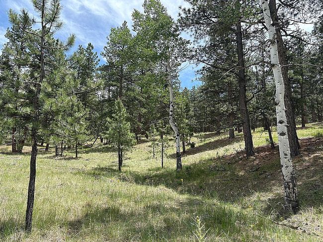 Photo of 188 Zuni Trl, Westcliffe, CO