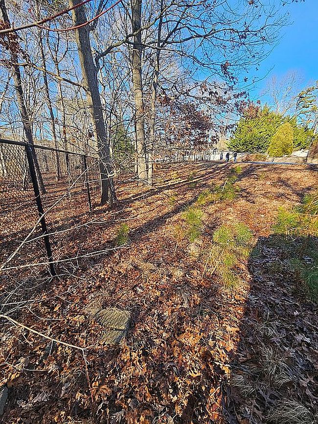 Photo of 6 1st Ave, Holtsville, NY
