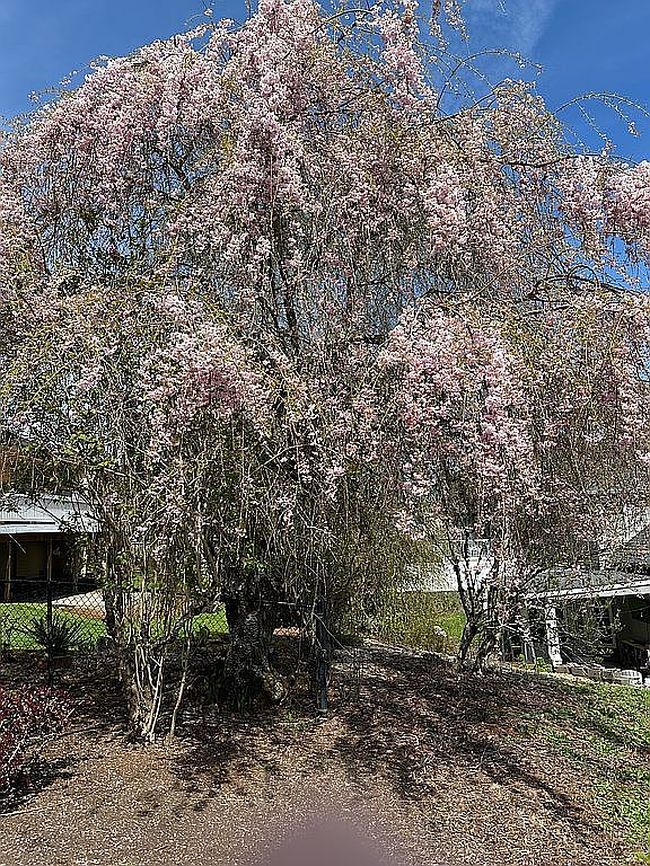 Image of 4943 Southampton Dr Se