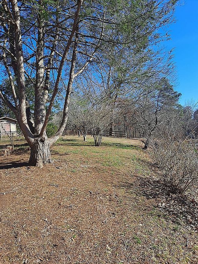 Image of 124 Rumble Dr