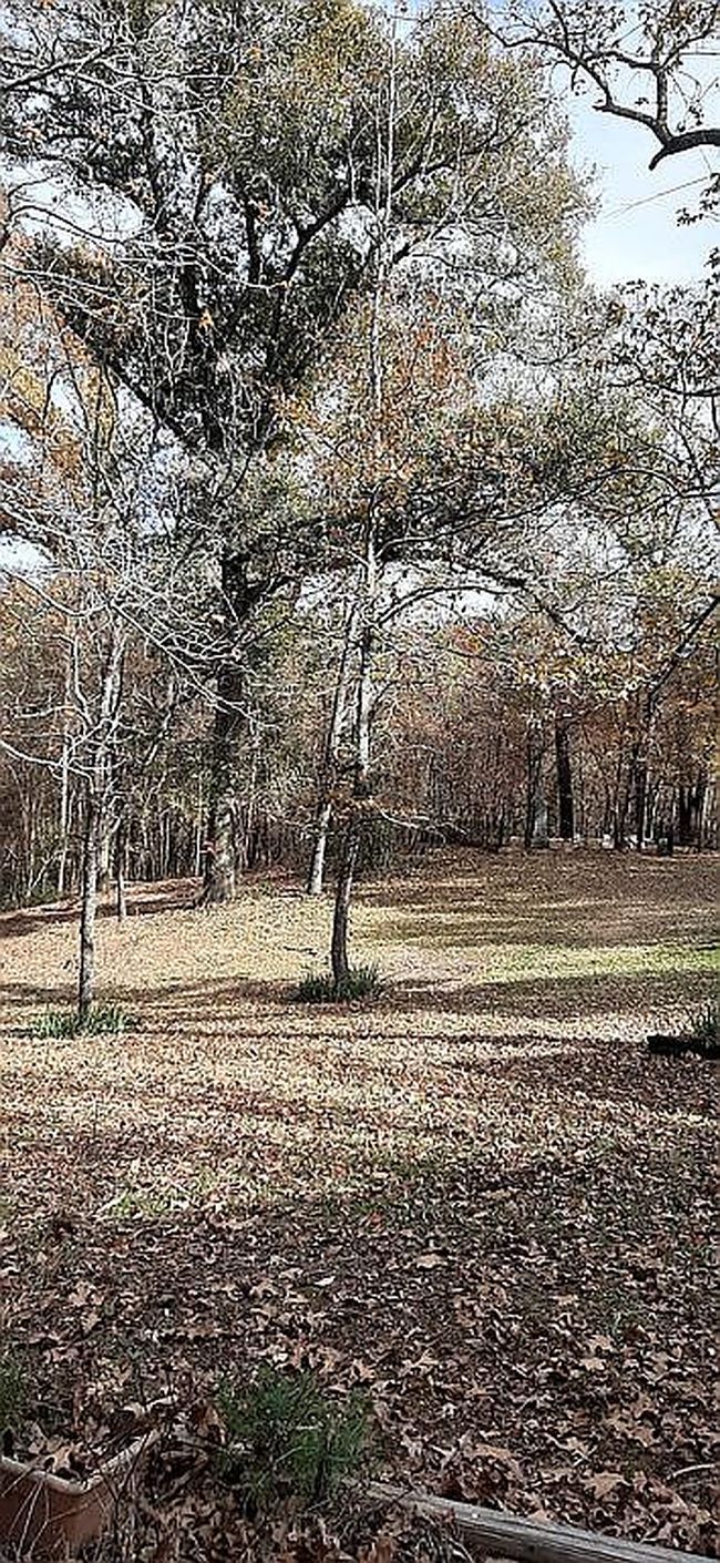 Photo of 7799 Knowles Trce, Tyler, TX