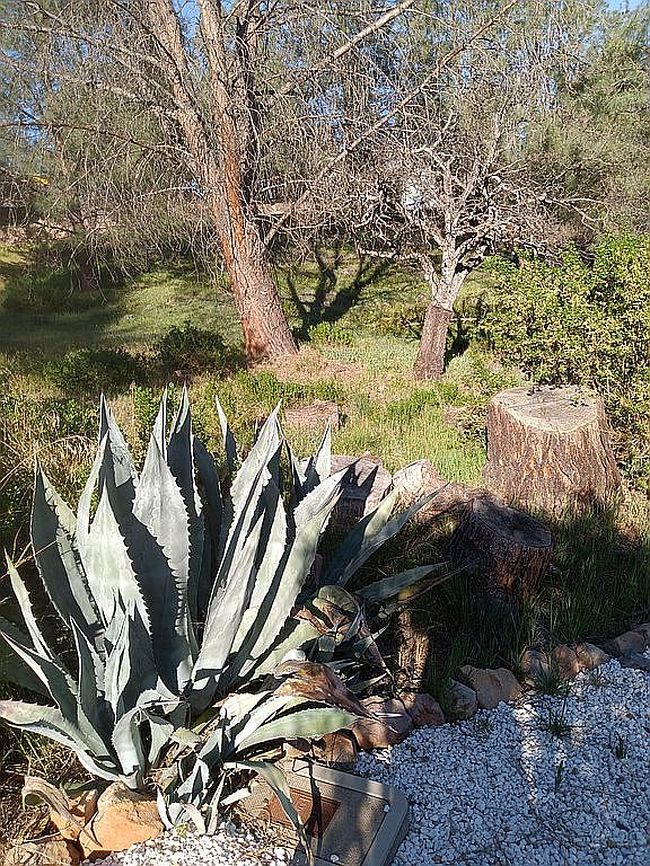 Photo of 4910 Hawaina Way, Kelseyville, CA