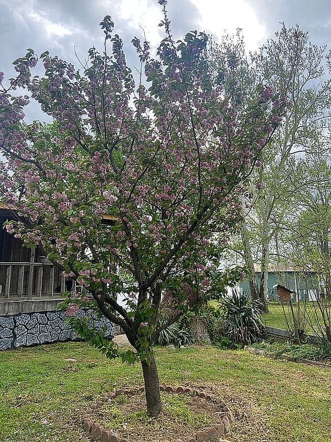 Image of 3115 Riverside Dr